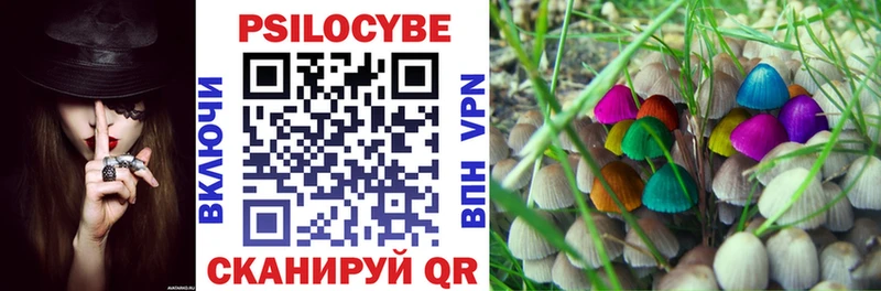 купить закладку  KRAKEN онион  Галлюциногенные грибы Magic Shrooms  Пестово 